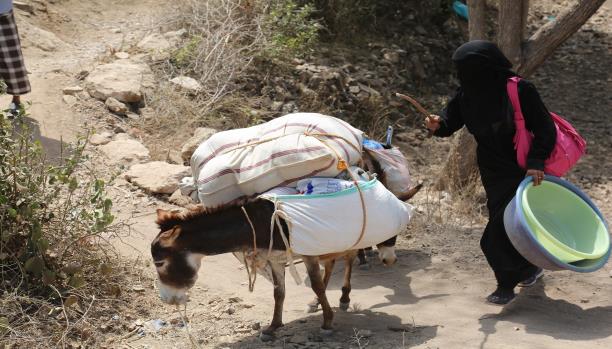 اليمنيات يتولين القيادة