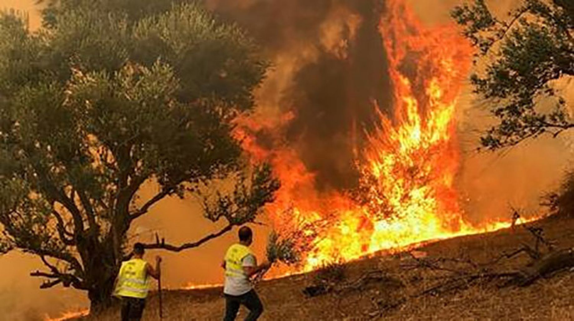 الجزائر.. توقيف 8 متهمين بافتعال الحرائق كانوا على اتصال بفرحات مهني