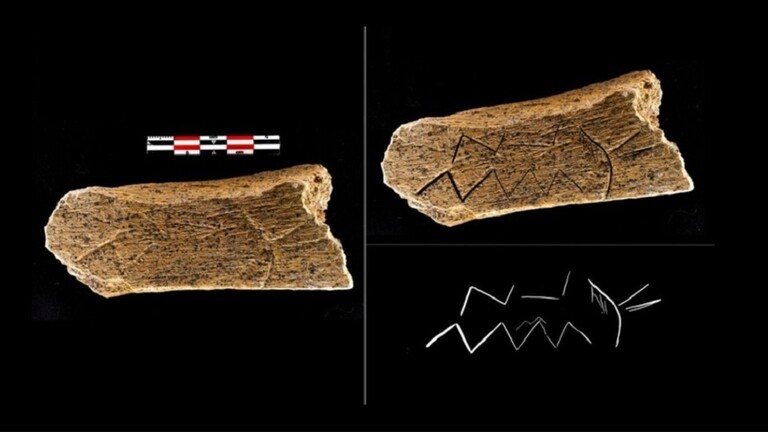 العثور على عظمة مزخرفة عمرها حوالي 80 ألف عام في مقاطعة بريانسك الروسية