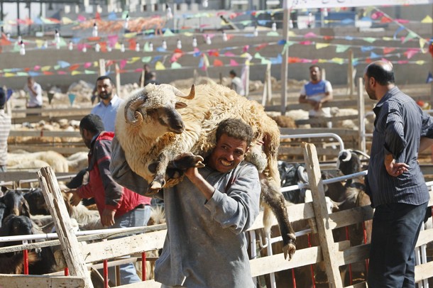 عيد الأضحى في لحج.. الغلاء في الأسعار يحول الفرحة  إلى هم